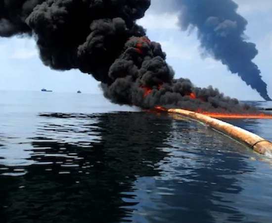 Deepwater Horizon Oil Spill Response