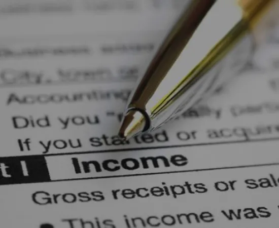 avoiding_tax_fraud2