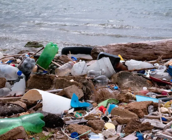 environmental fraud
